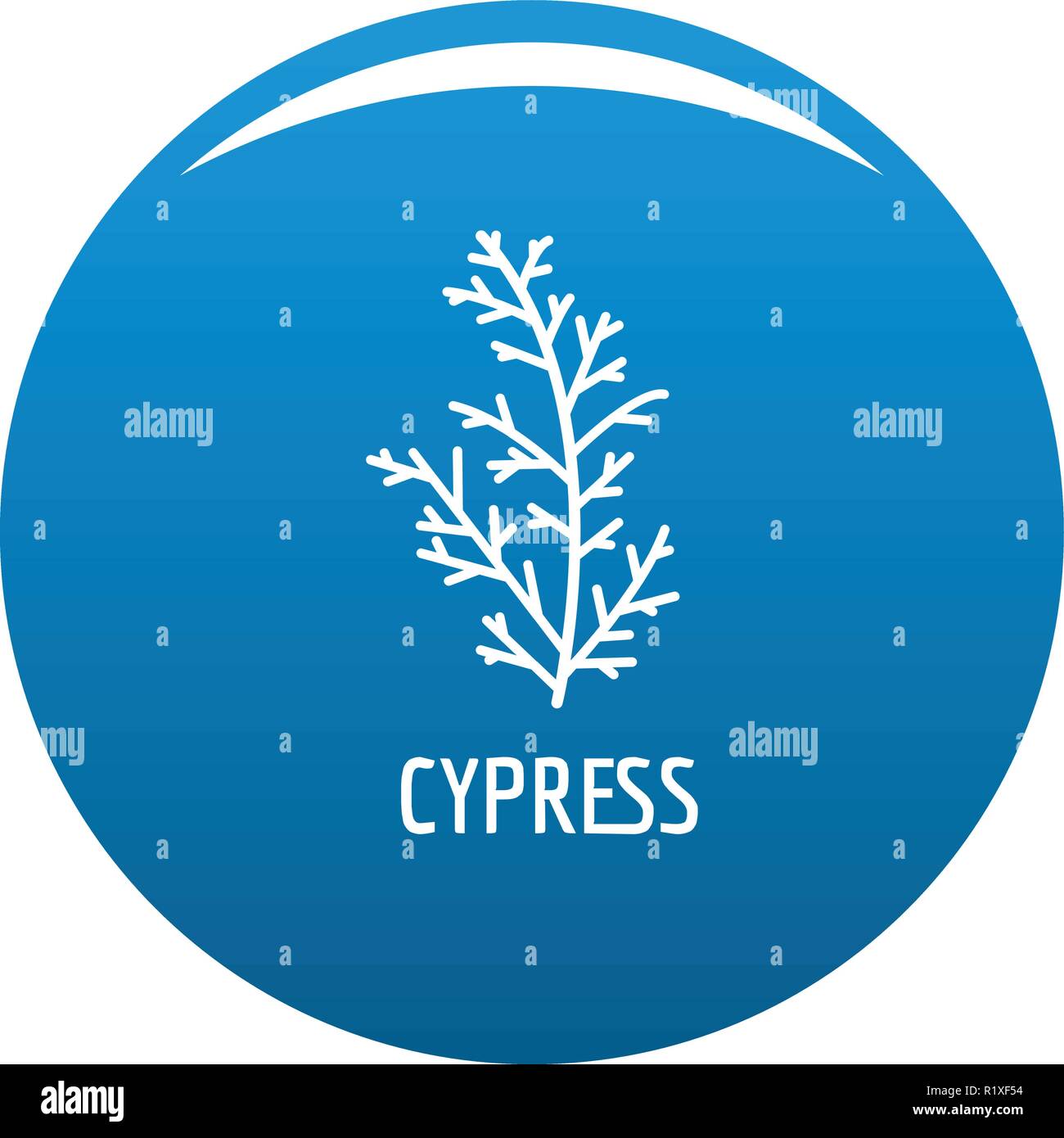 Cypress leaf icon vector blue circle isolated on white background  Stock Vector