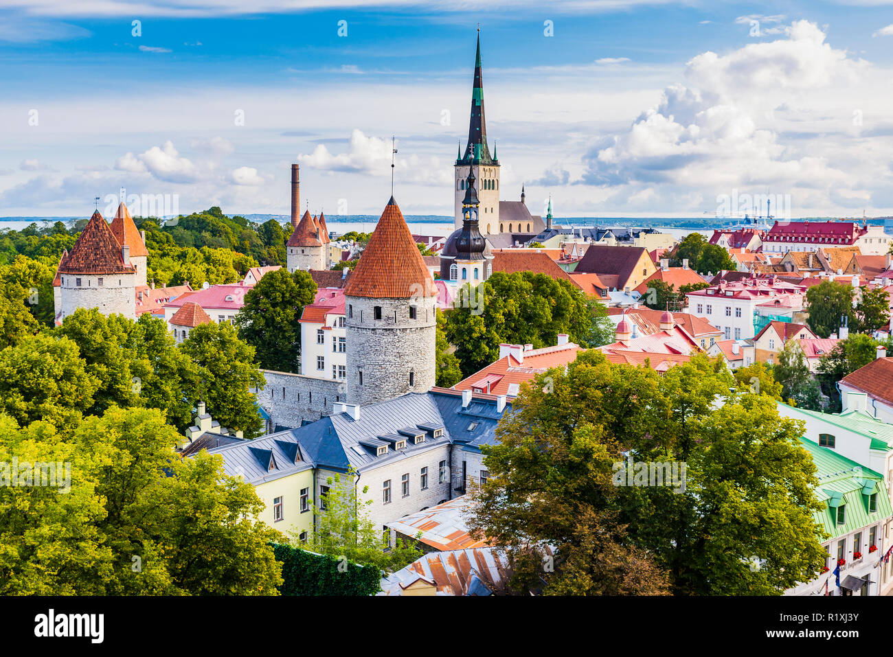 The Old City Of Tallinn Seen From A Lookout On Toompea Hill