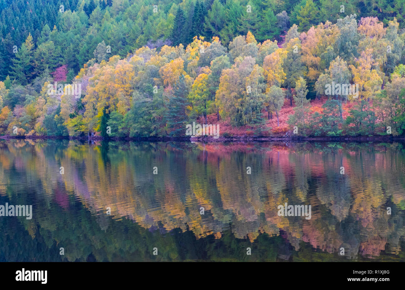 Autumn at Loch Tummel Scotland Stock Photo