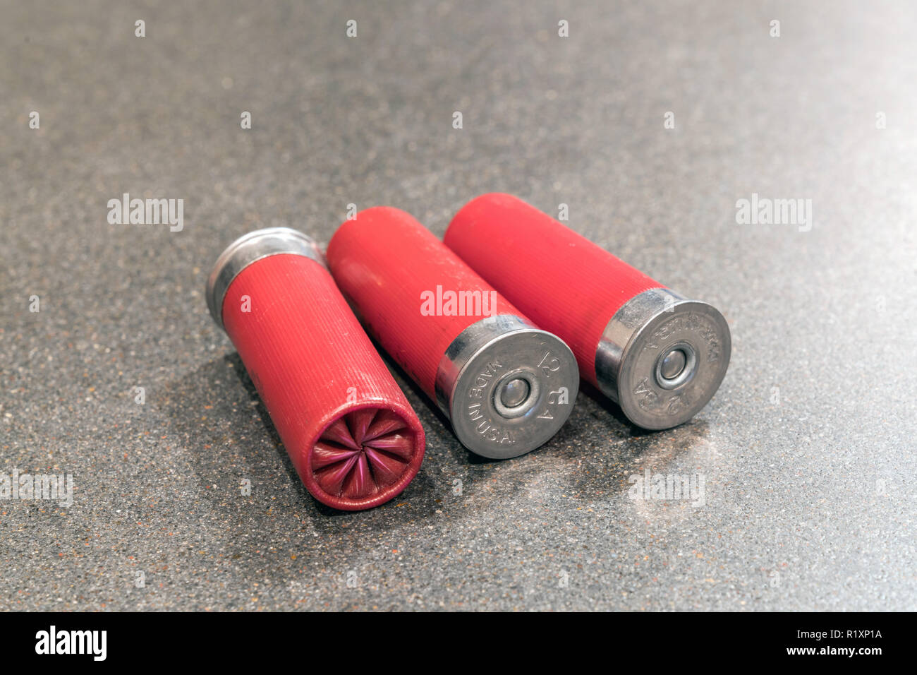 Shotgun Shells & Ammo 12 Gauge Isolated on Black Table Stock Photo