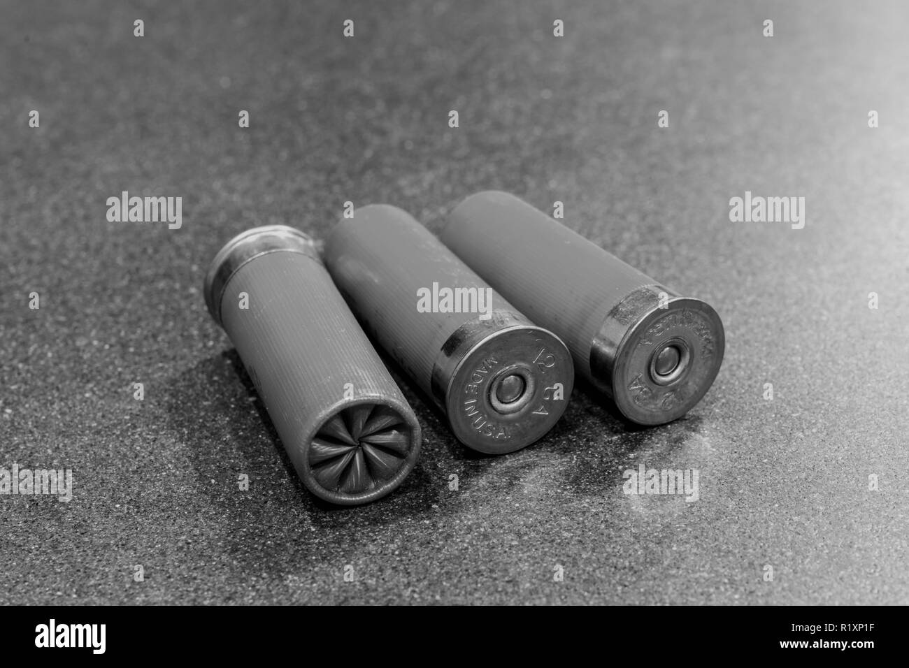 Shotgun Shells & Ammo 12 Gauge Isolated on Black Table Stock Photo