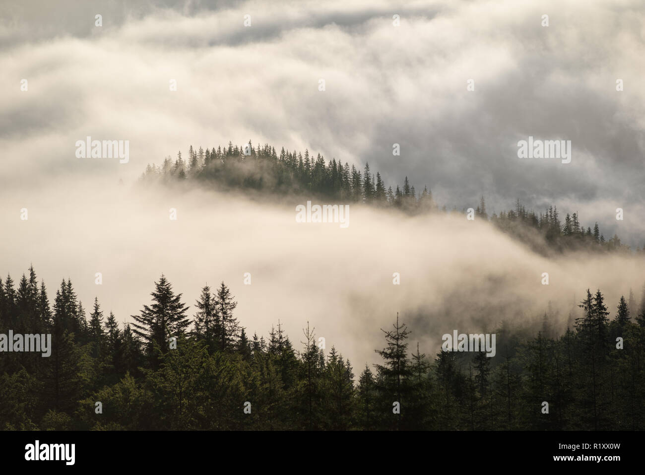 Fog covered hills hi-res stock photography and images - Alamy