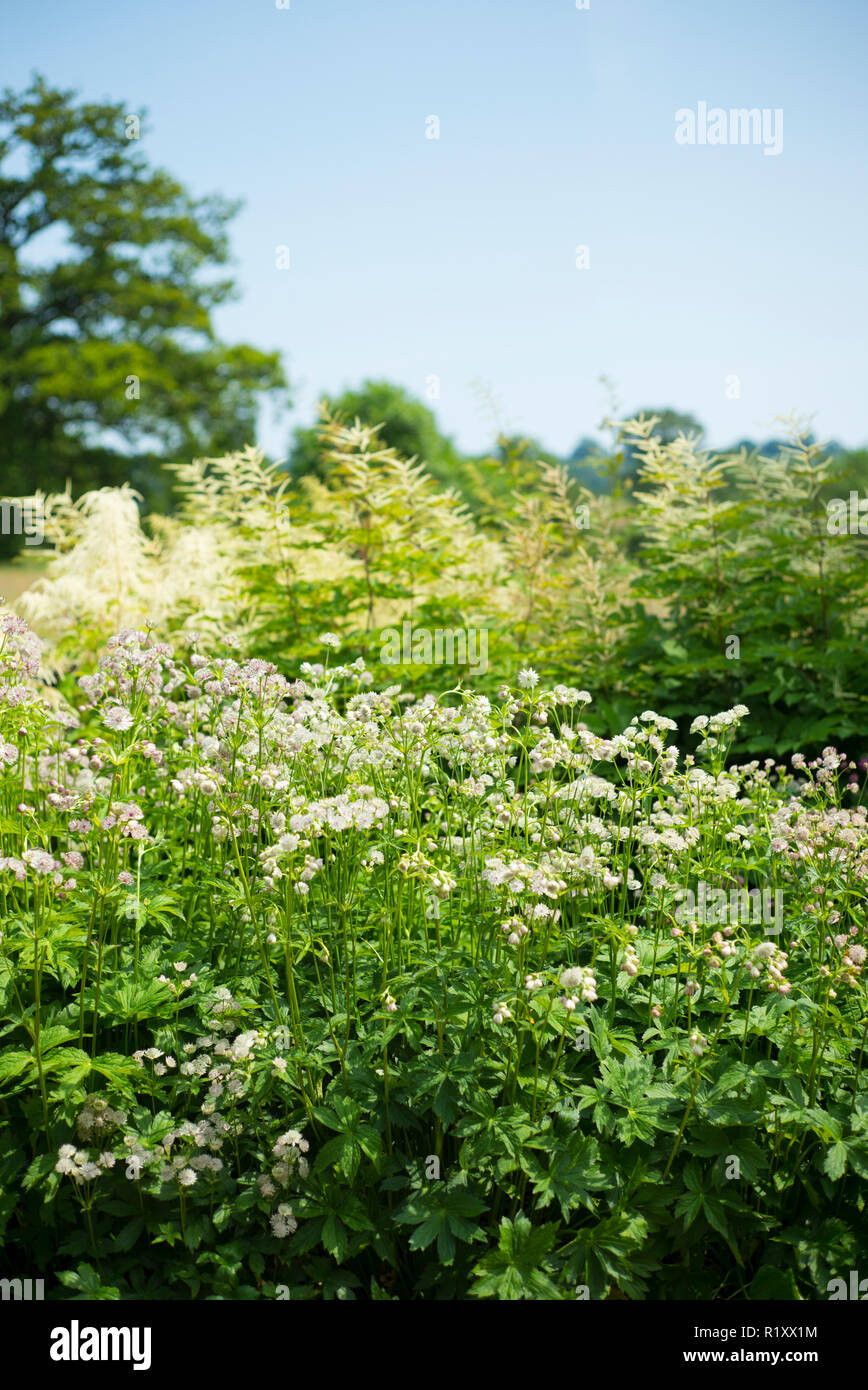Botanic garden of wales hires stock photography and images Alamy