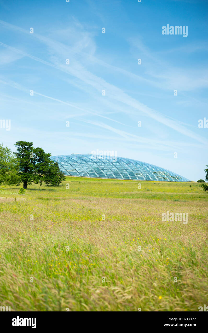 Dome shaped glass roof of The Great Glasshouse of the National Botanic Garden of Wales and wildflower meadow in Carmarthenshire, UK Stock Photo