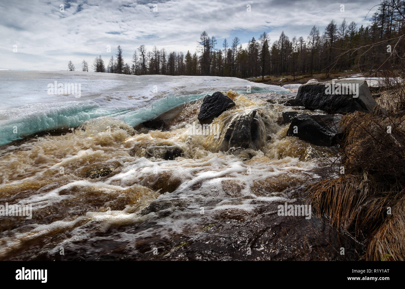 Rapid spring creek in South Yakutia, Russia Stock Photo