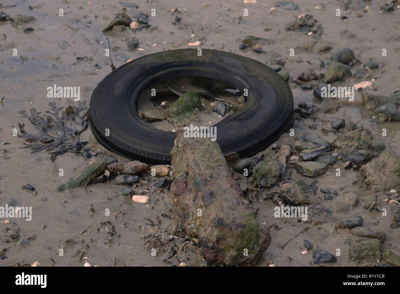 Plastic pollution river hi-res stock photography and images - Alamy