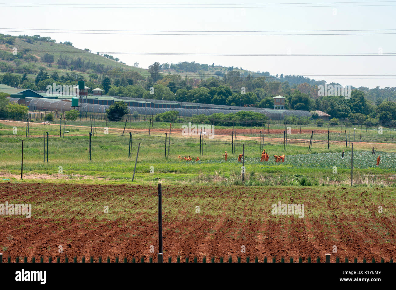 W453, South Africa, Pretoria, 1991: Farmers meet in Pretoria to