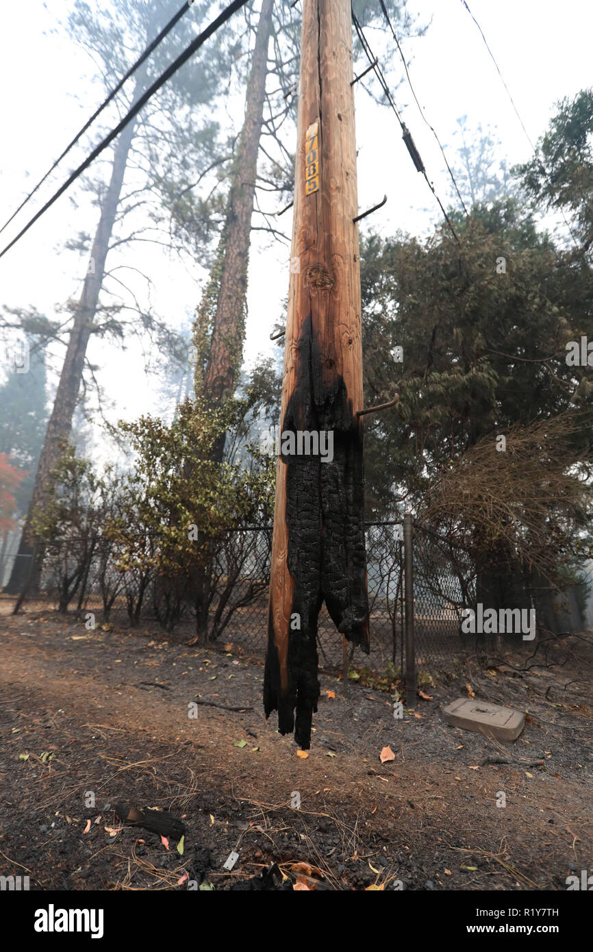 Paradise, USA. 14th Nov, 2018. A burnt telegraph pole is seen after the wildfire in Paradise, California, the United States, on Nov. 14, 2018. A total of 56 bodies had been found in and around the town of Paradise ruined by a raging wildfire in Northern California, local authorities said. Credit: Li Ying/Xinhua/Alamy Live News Stock Photo