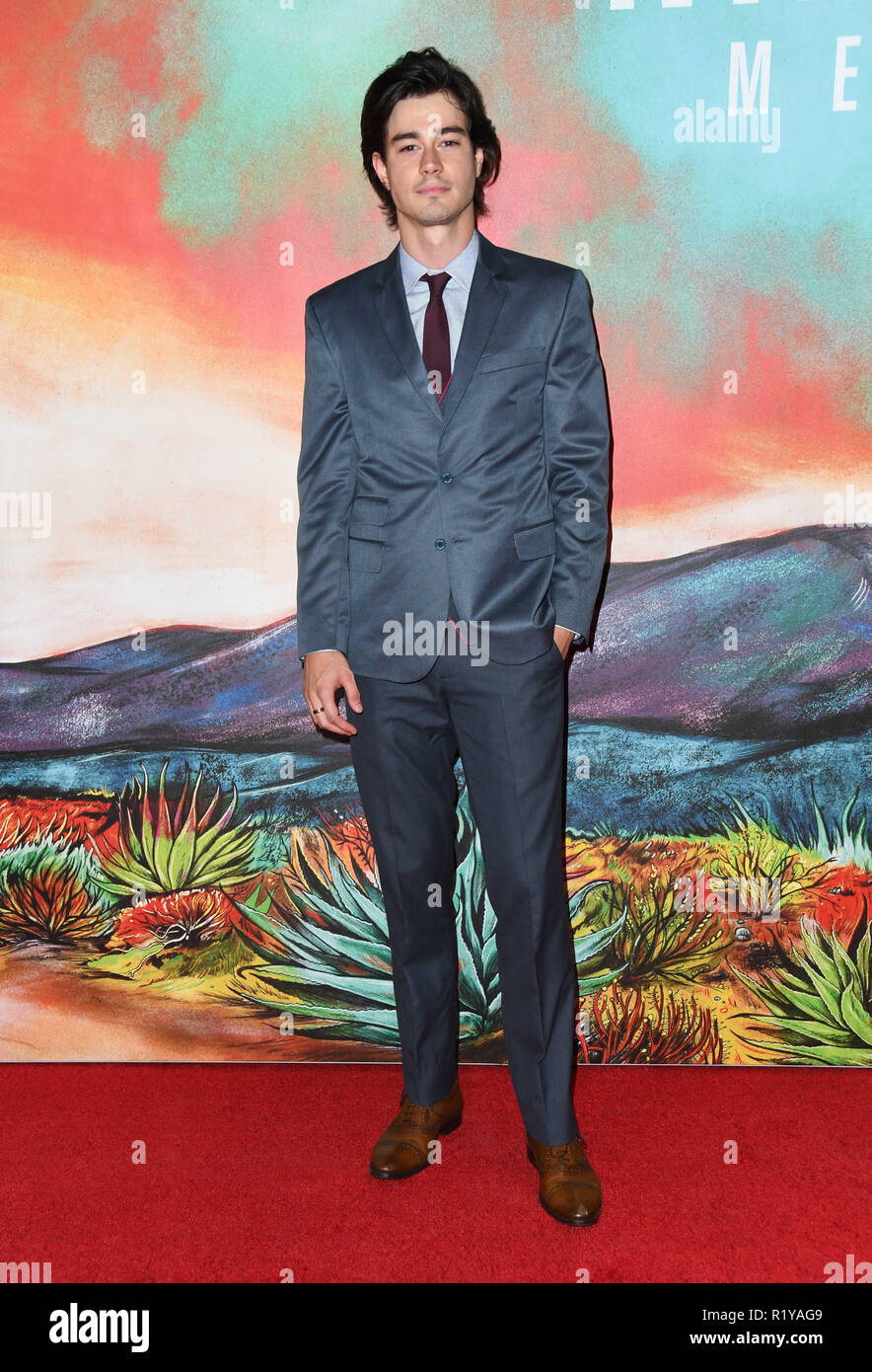 Los Angeles, CA, USA. 14th Nov, 2018. 14 November 2018 - Los Angeles