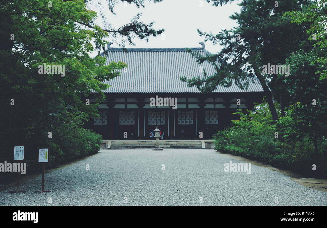 Nara, Nara, China. 15th Nov, 2018. TÃ…Â shÃ…Â dai-ji, also known as ...
