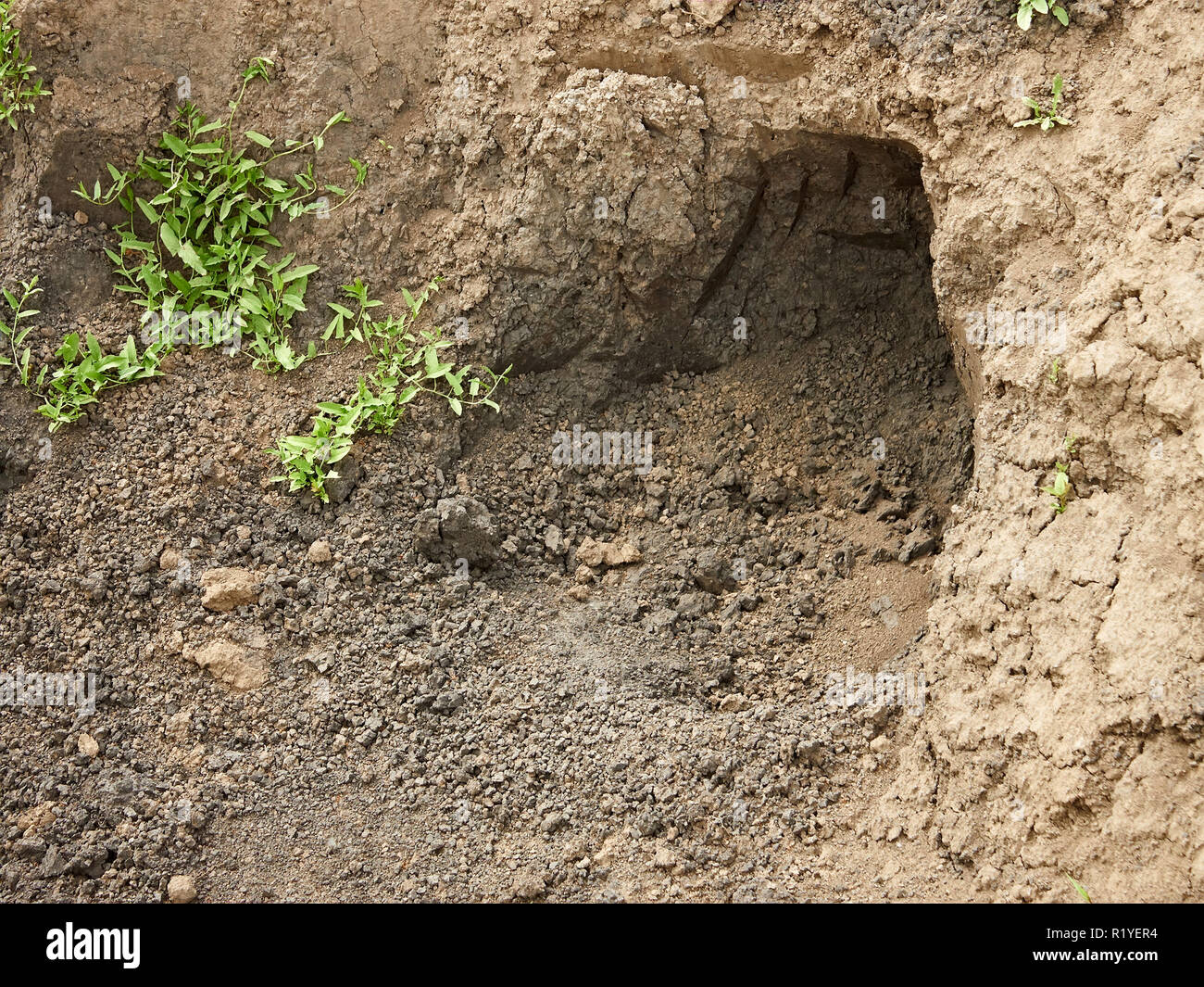 Clay soil hi-res stock photography and images - Alamy