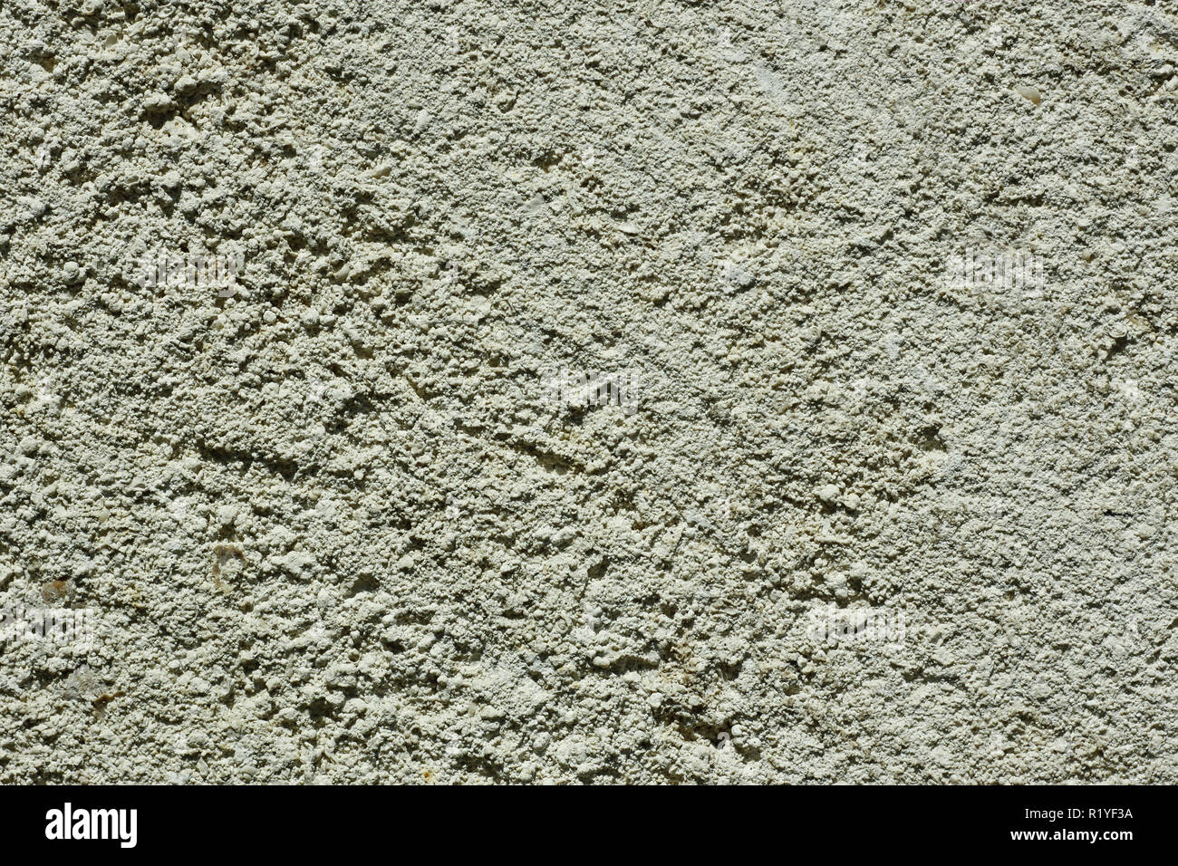 Section of limestone closeup as a texture Stock Photo