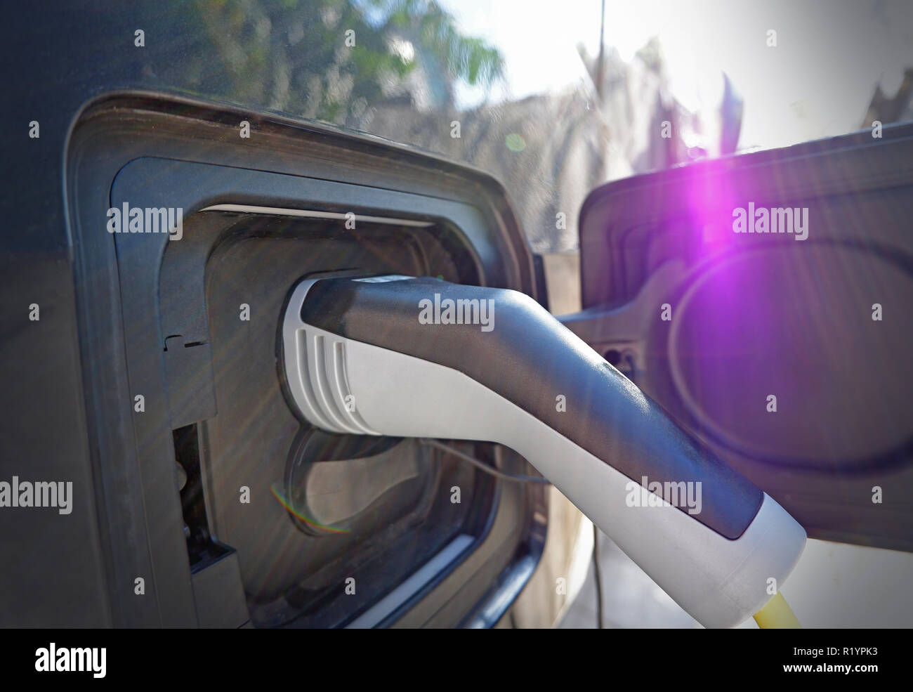 The close up of recharging cable and electric car Stock Photo