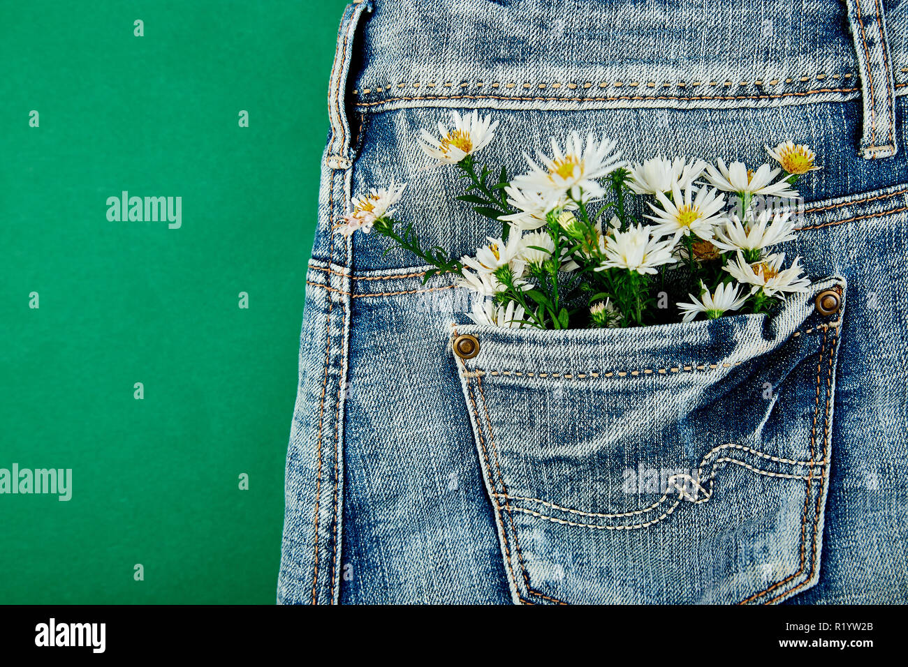 Bouquet of white flower in the pocket of a jeans on green background ...