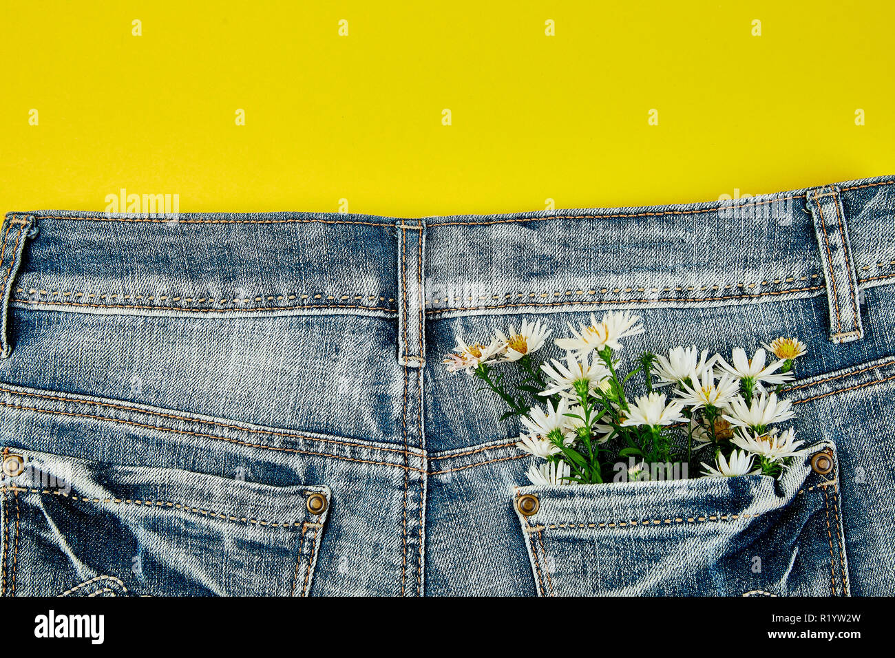 Bouquet of white flower in the pocket of a jeans on yellow background.  Minimalis. Denim concept. Flat lay. Copy space. Creative layout for spring  fest Stock Photo - Alamy