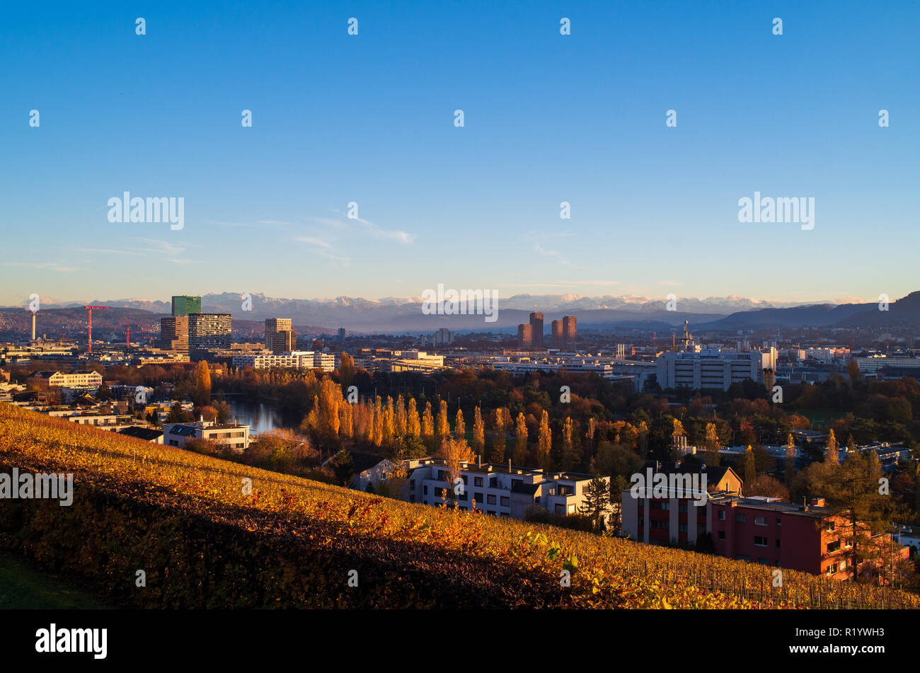 Zurich city vista from atop of Hongg in autumn trimmed autumn colored bushes in the foreground Stock Photo