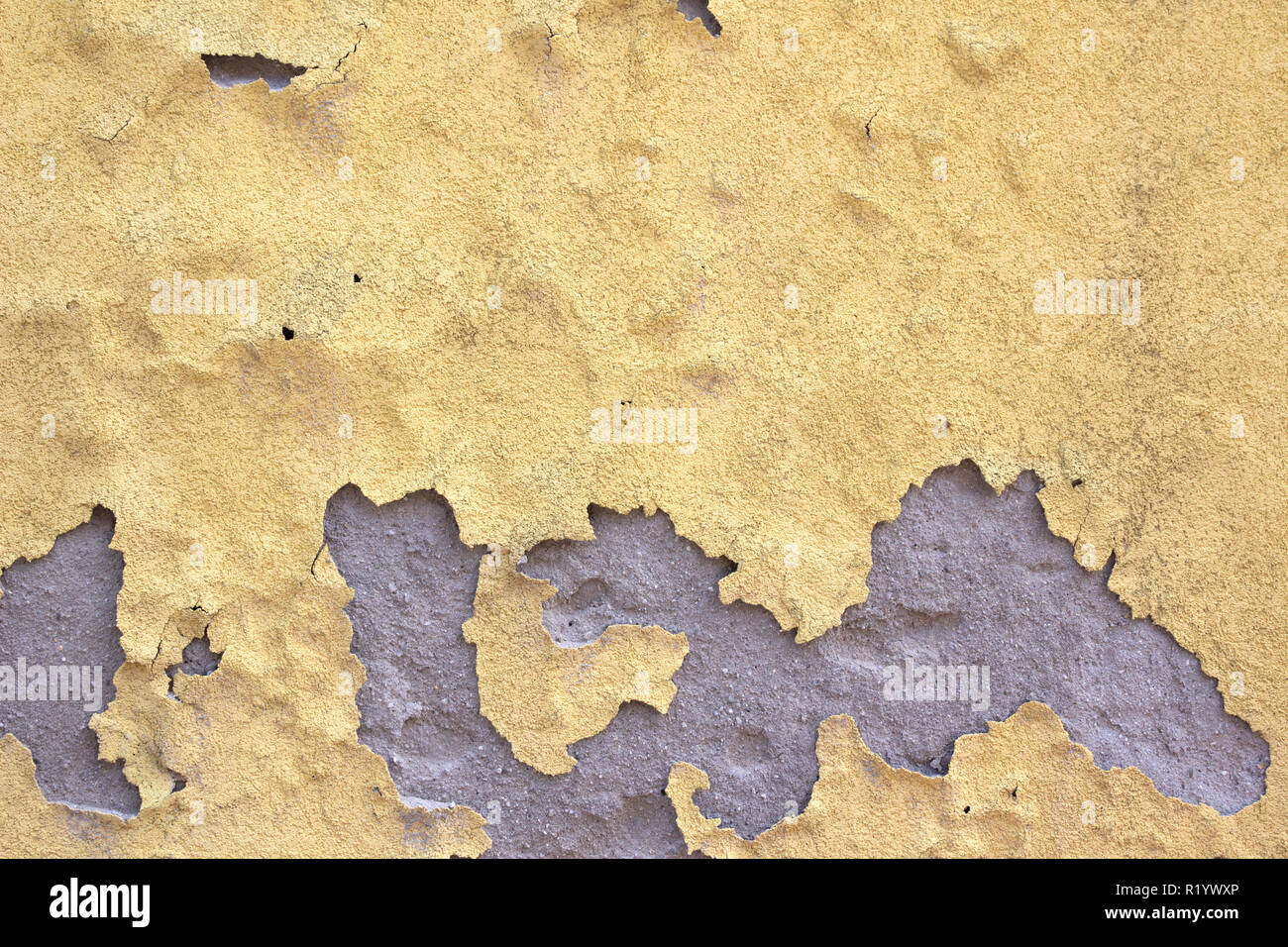 Download Yellow Peel Off High Resolution Stock Photography And Images Alamy Yellowimages Mockups