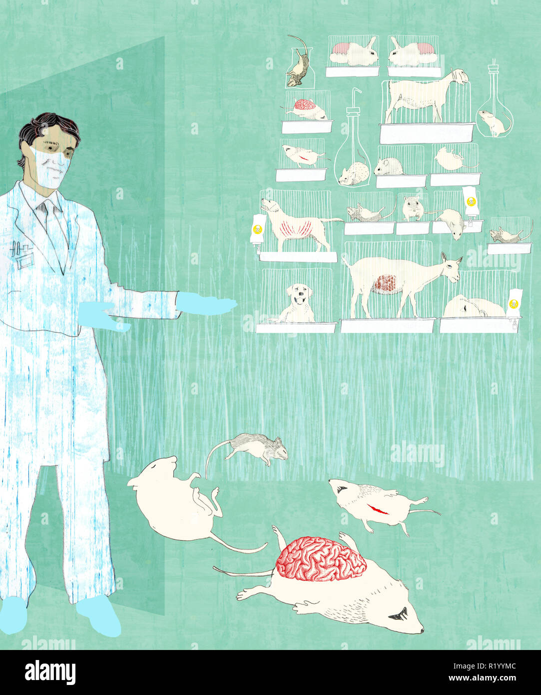 science animal testing Stock Photo Alamy