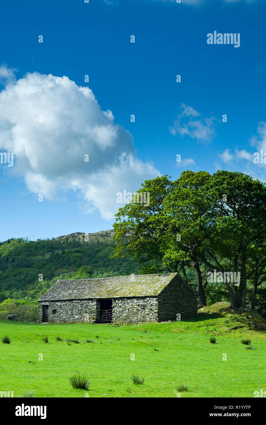 Stone Barn And Puffy Clouds In Blue Sky Near The River Duddon With