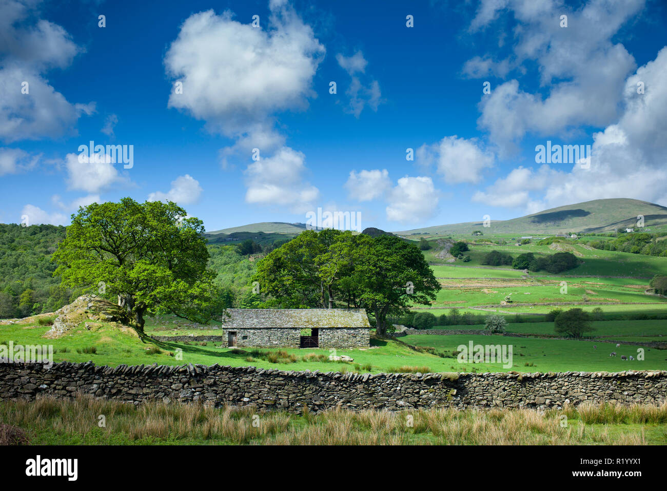 Stone Barn And Puffy Clouds In Blue Sky Near The River Duddon With