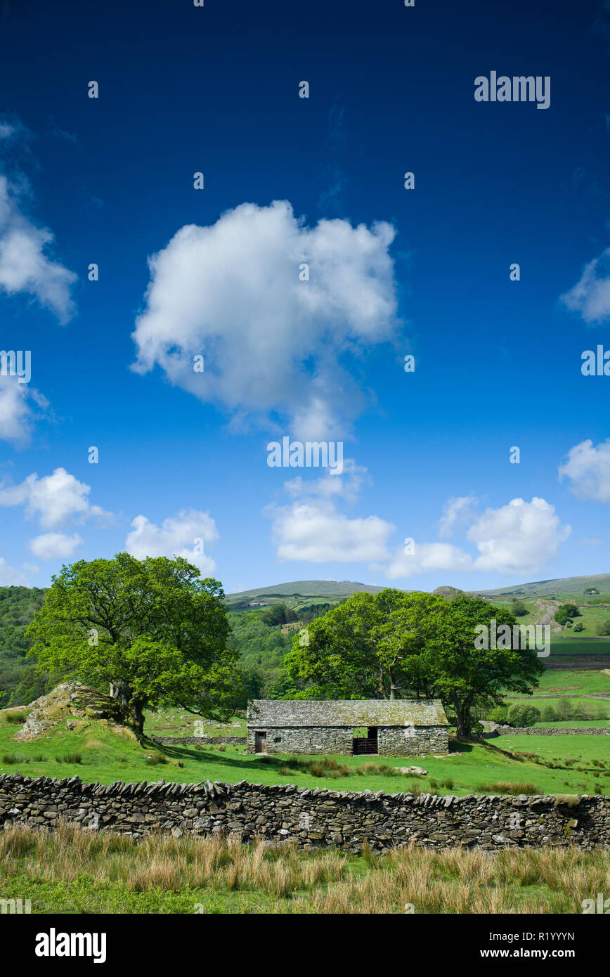 Stone Barn And Puffy Clouds In Blue Sky Near The River Duddon With