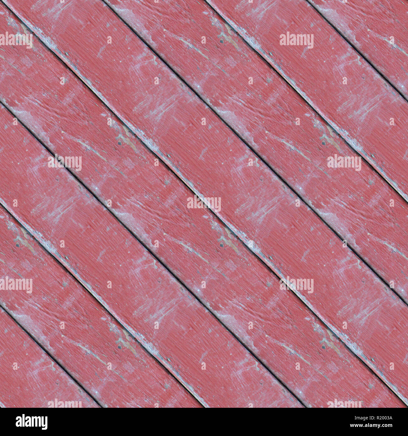 Xylos hi-res stock photography and images - Alamy Xylos hi-res stock photography and images - Alamy