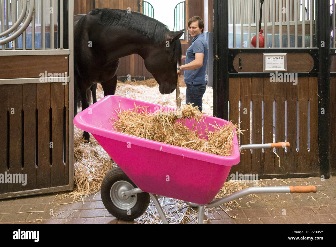 Mucking out stable hires stock photography and images Alamy