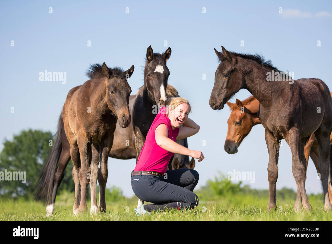Warmblood. Laughing woman with playful foals on a pasture. Germany Stock Photo