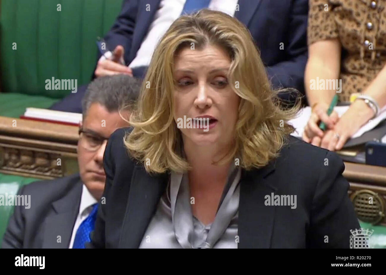 International Development Secretary Penny Mordaunt answers questions in