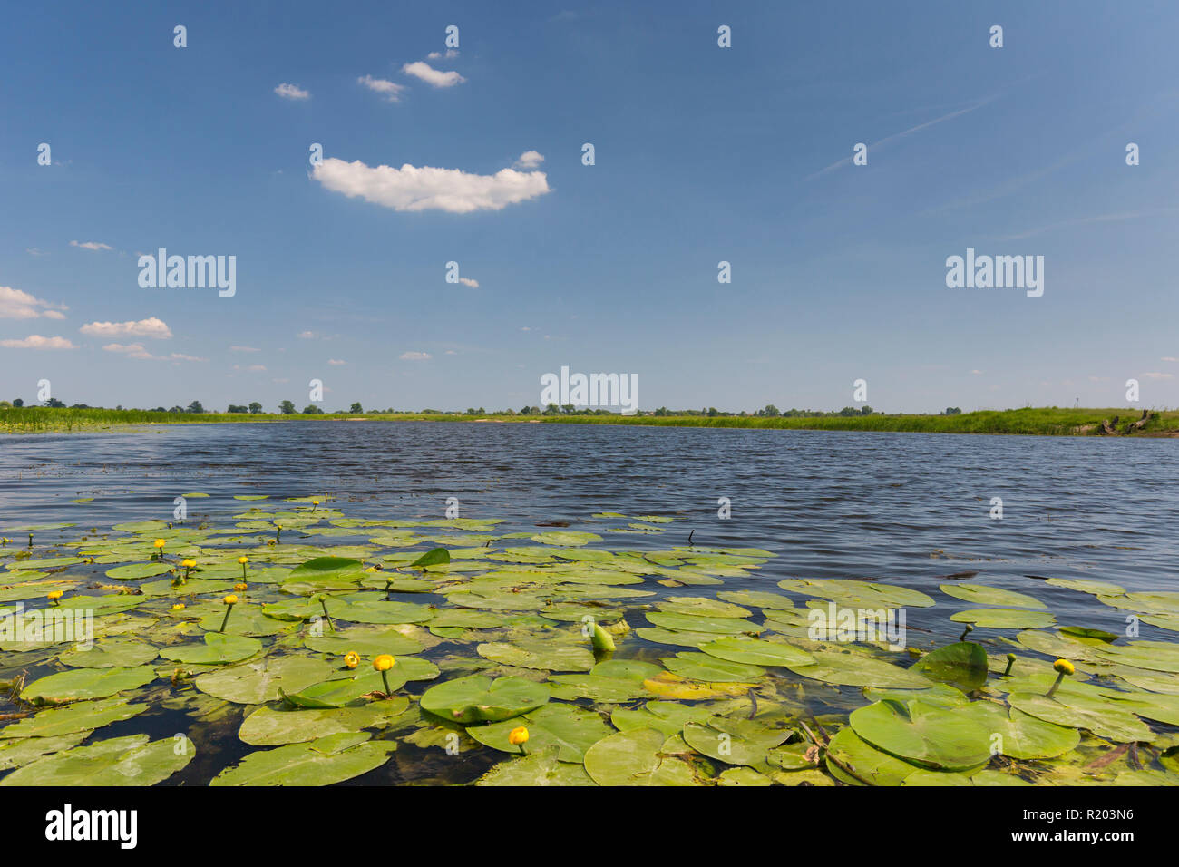 Landscape at Warta River-Mouth National Park, Poland Stock Photo