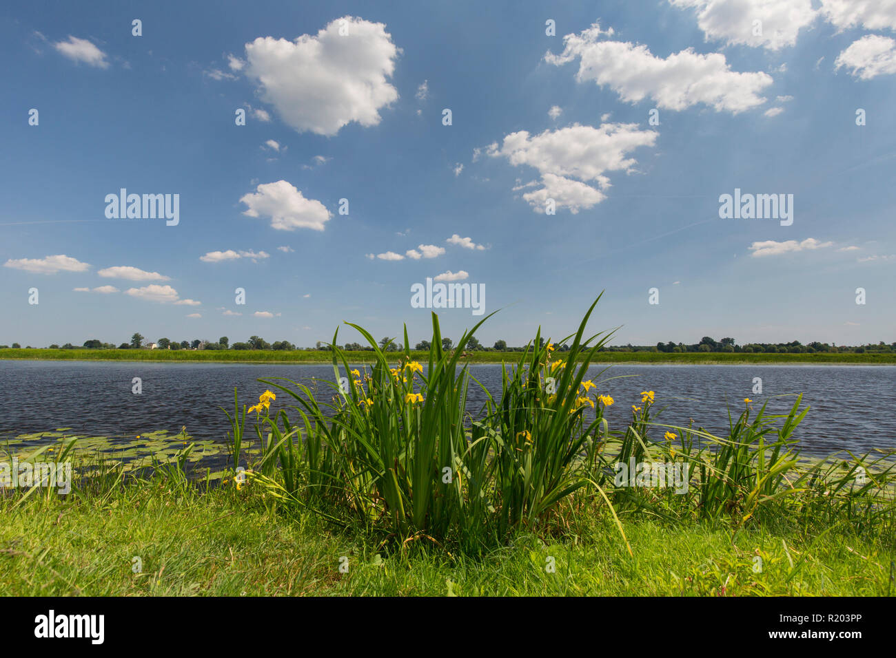 Landscape at Warta River-Mouth National Park, Poland Stock Photo