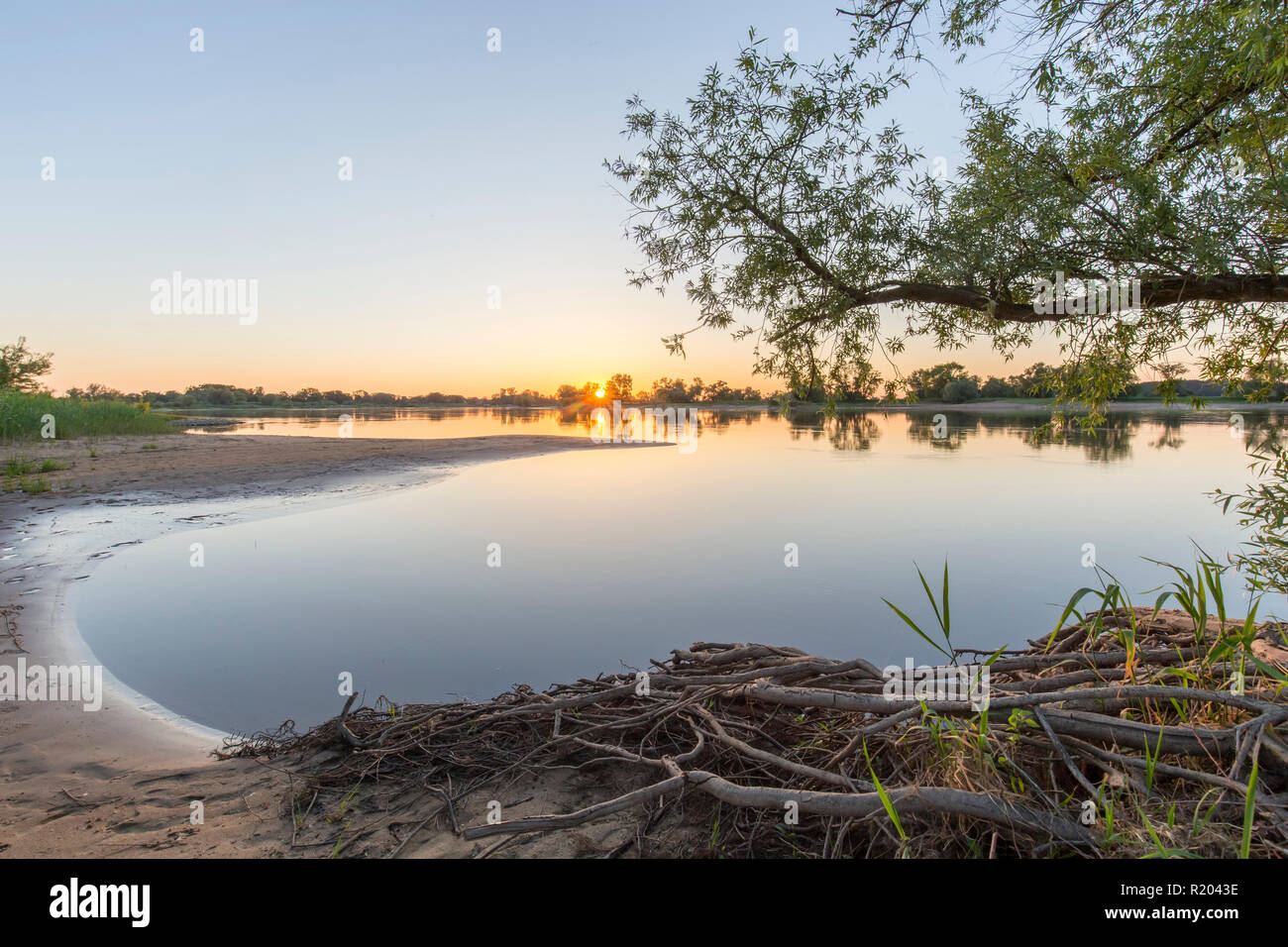 Evening at river Elbe at Lower Saxonian Elbe Valley, biosphere reserve. Lower Saxony, Germany Stock Photo