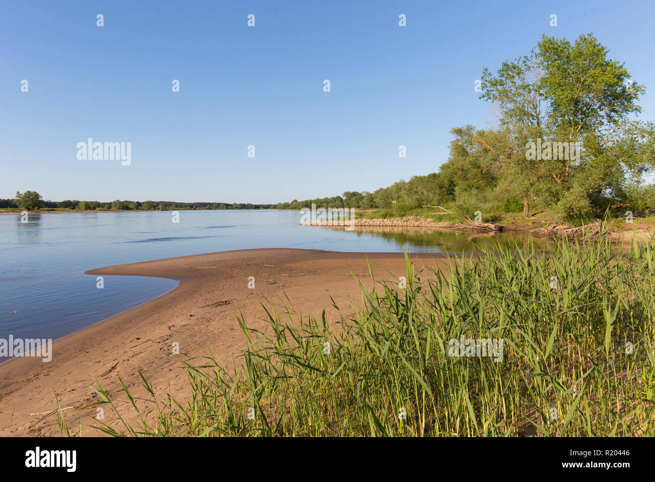 Morning at river Elbe at Lower Saxonian Elbe Valley, biosphere reserve. Lower Saxony, Germany Stock Photo