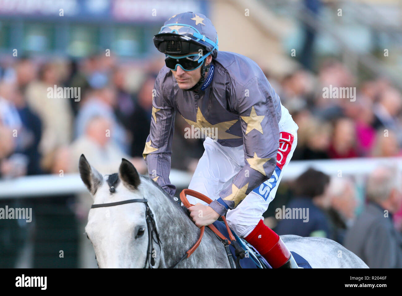 Jockey Fran Berry Stock Photo - Alamy