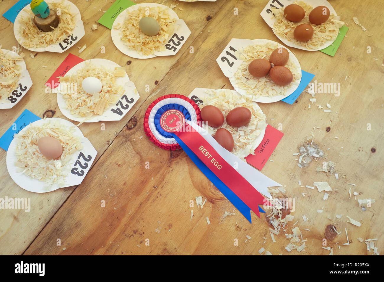 First prize for the Best Egg Competition with eggs on paper plates at a country show Stock Photo