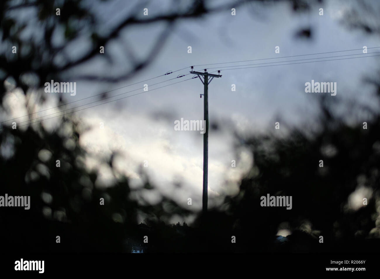 An electricity pylon against a grey sky in autumn Stock Photo