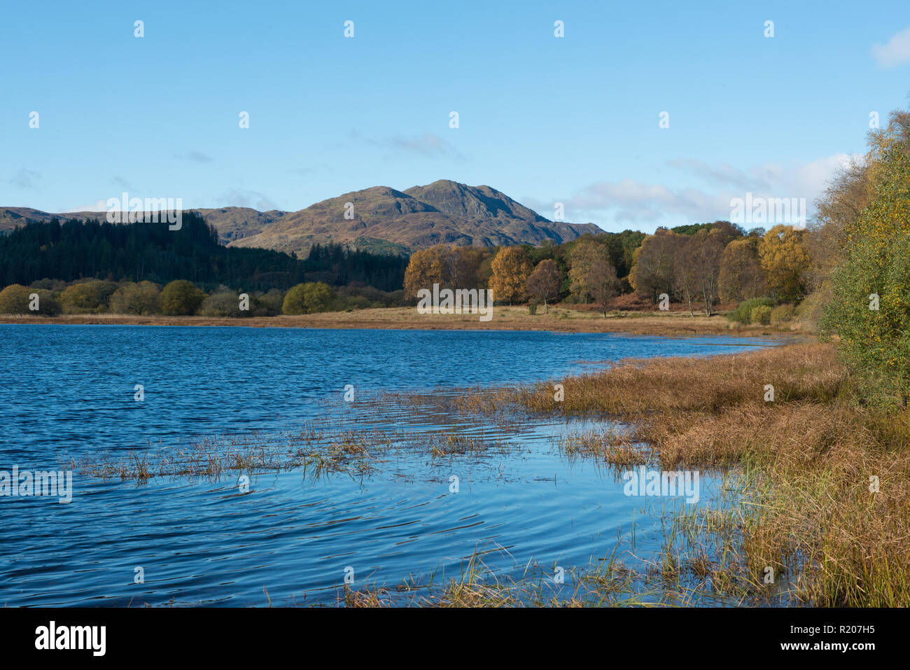 Loch Venachar in woodland trust Glen finglas reserve part of Loch