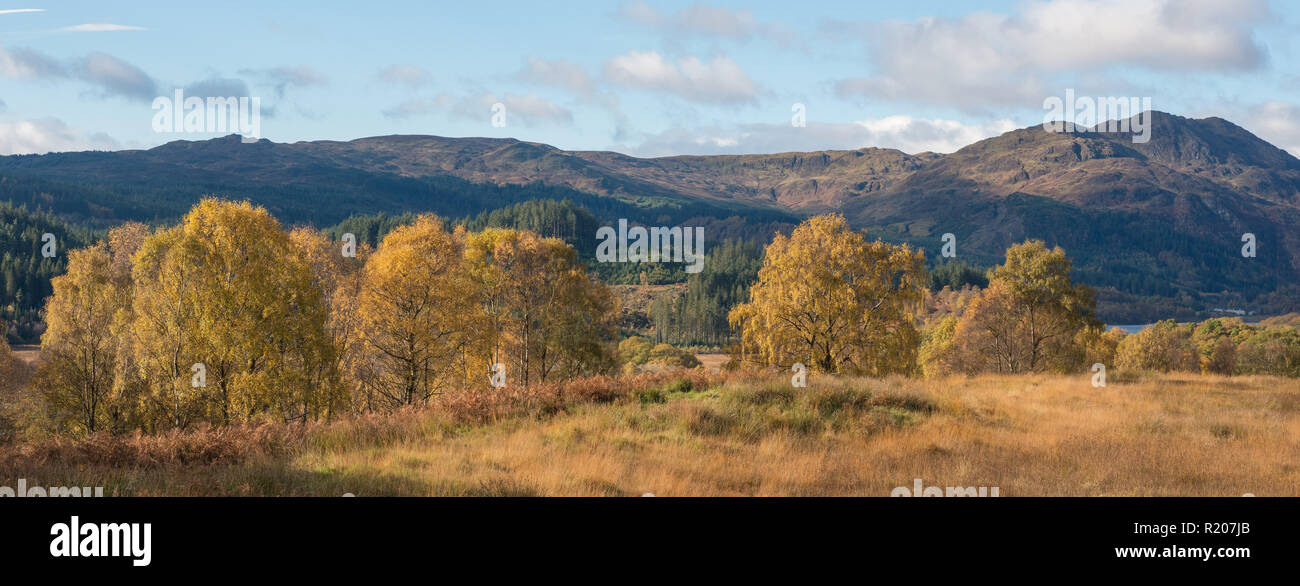 Woodland Trust reserve at Glen Finglas in Loch Lomond and the Trossacks National Park Scotland Stock Photo