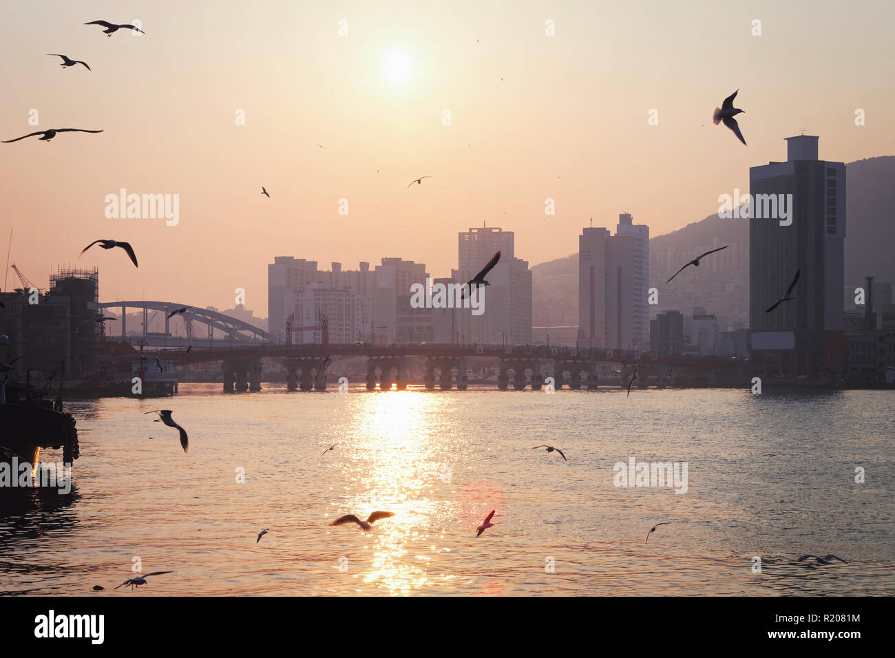 Sea view with seagulls beautiful sunset outside Jagalchi Market, Busan, South Korea Stock Photo