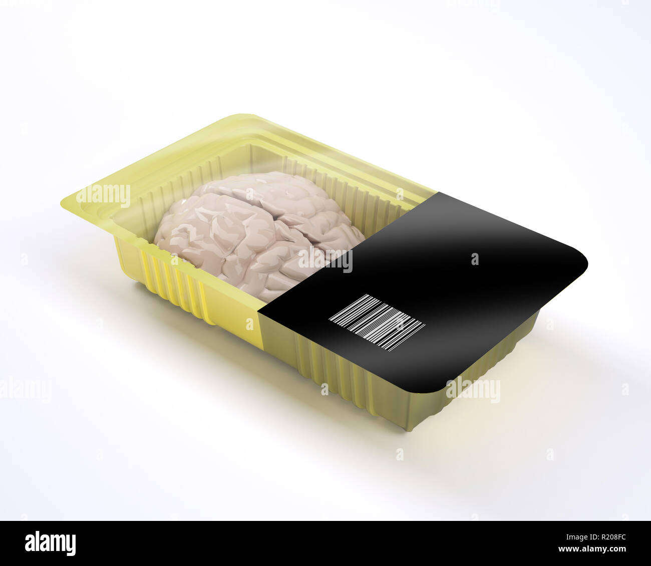food packaging with human brain organ inside, 3d illustration Stock Photo
