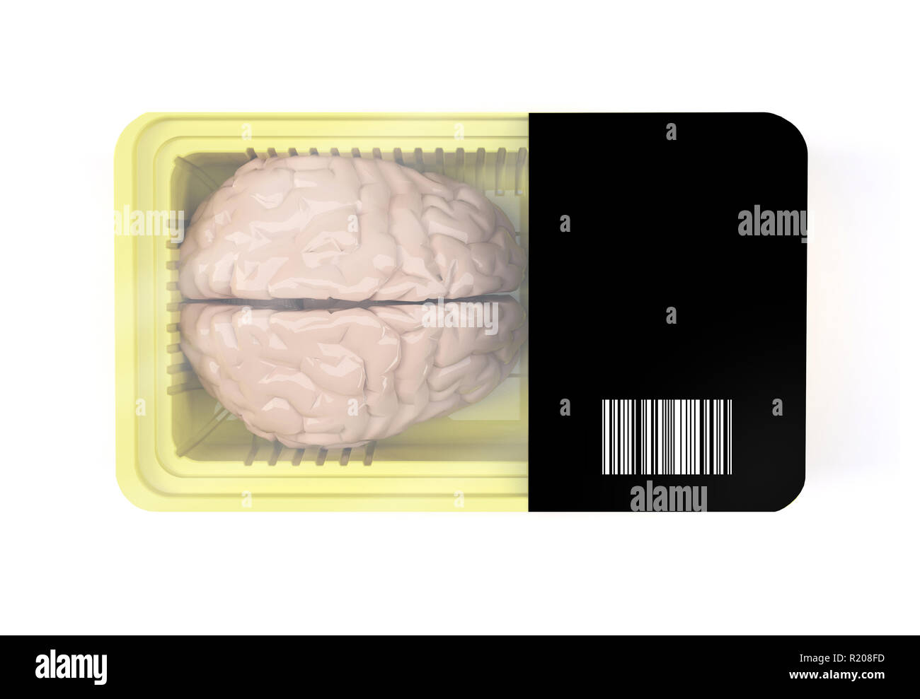 food packaging with human brain organ inside, 3d illustration Stock Photo