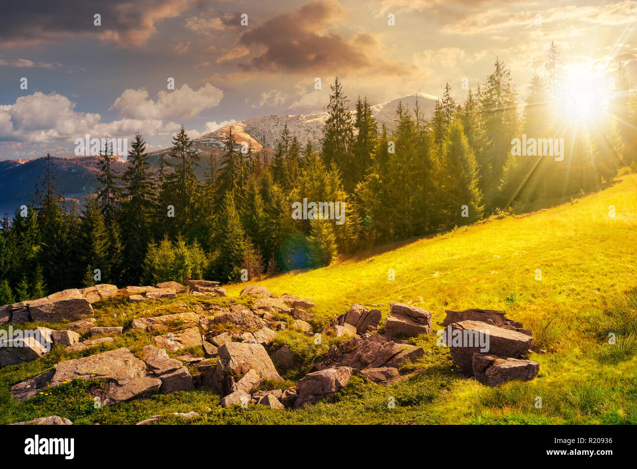 alpine summer landscape composite at sunset in evening light. rock formation near the spruce forest on a grassy hill.  mountain with snowy top in the  Stock Photo