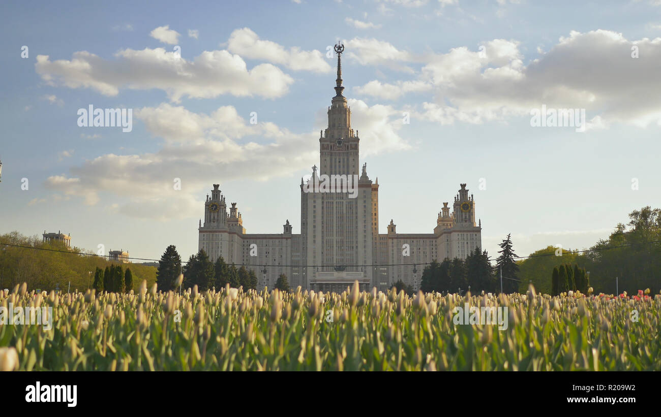 Lomonosov State University, iconic building and sightseeing in Moscow, Russia. Shooting against a background of multi-colored tulips at sunset. Stock Photo