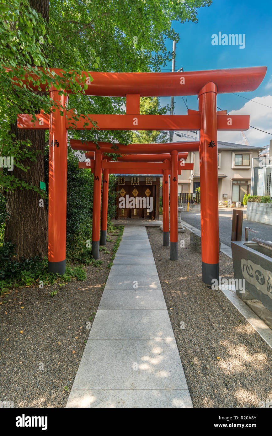Tokyo, Japan August 03, 2018 Red Torii gates at Shusse Inari Jinja
