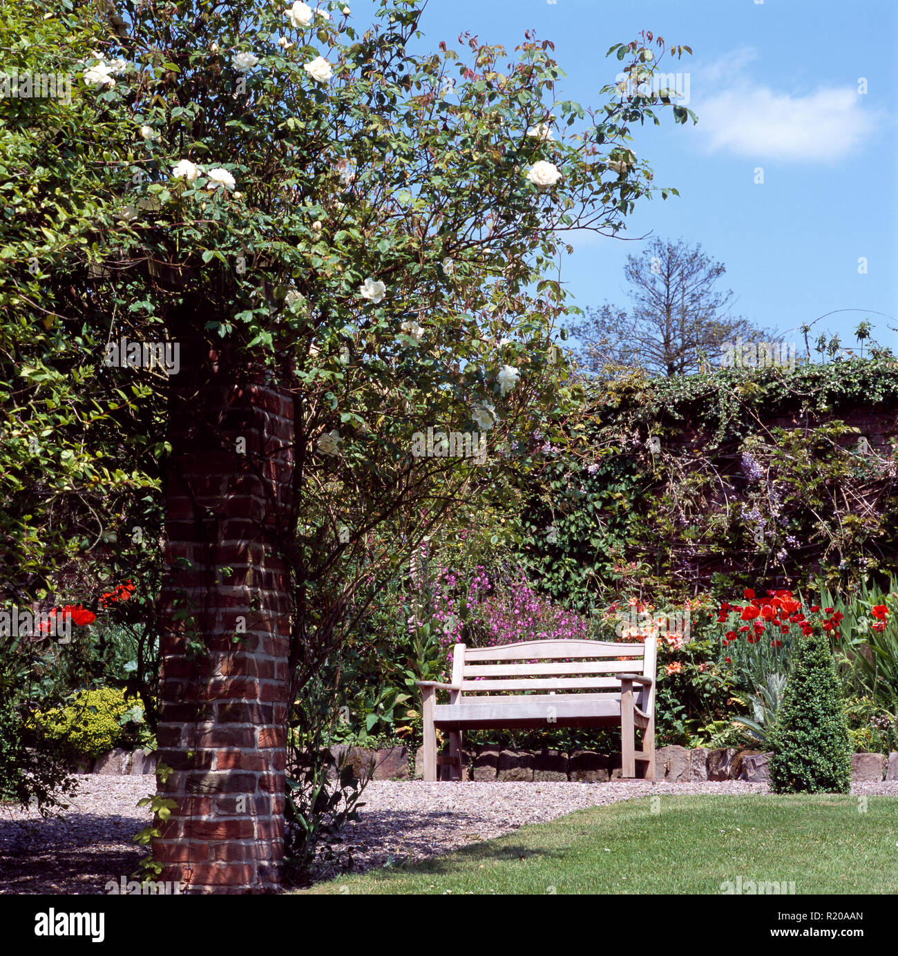 White roses on brick pillar in summer garden Stock Photo