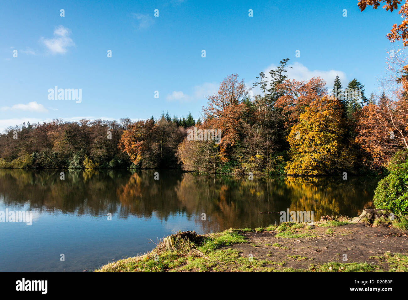 Shearwater lake in autumn Stock Photo