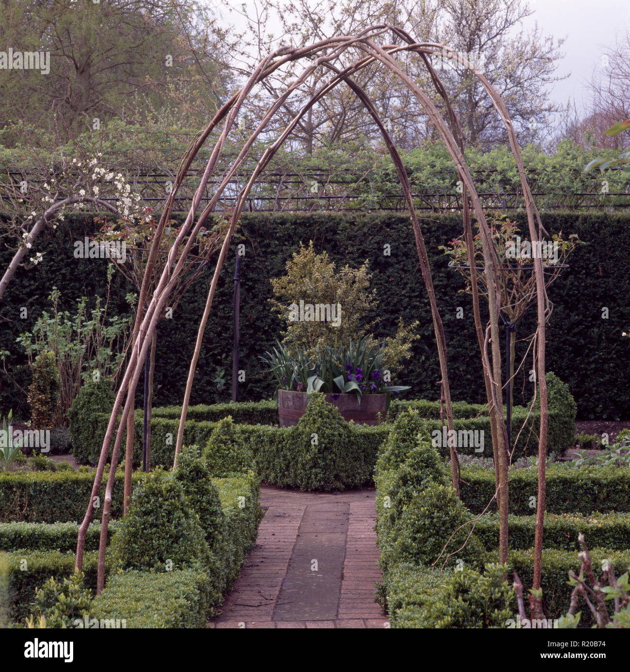 Hazel arch in knot garden with topiary Stock Photo