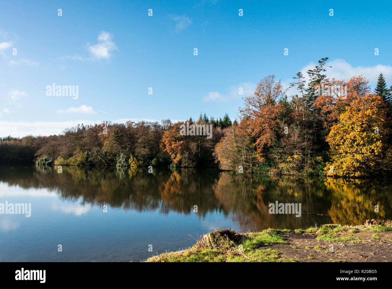 Shearwater lake in autumn Stock Photo