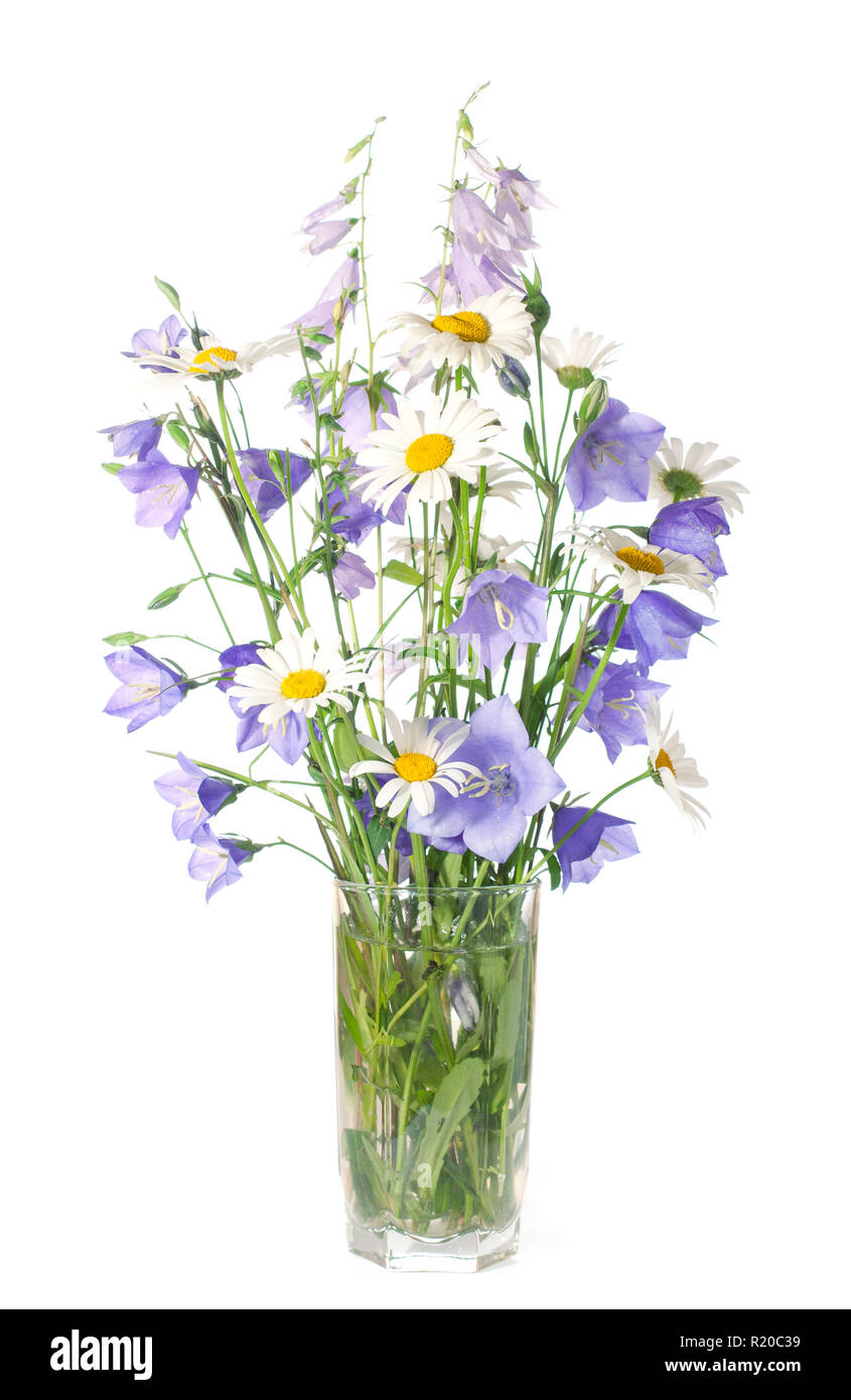 Bouquet of wildflowers isolated on white background Stock Photo - Alamy