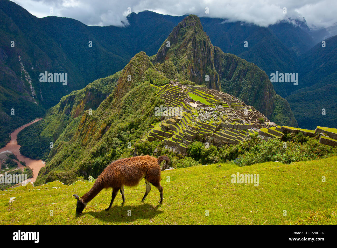 Matsu pitsu hires stock photography and images Alamy